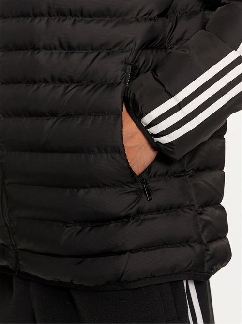 PAD HOODED ADIDAS ORIGINALS | IZ1842/ND